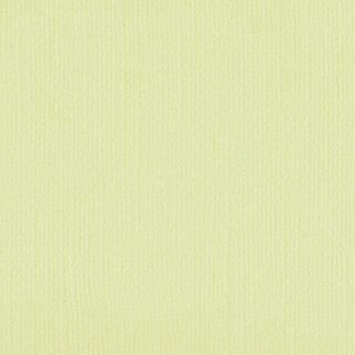 Textured Linen Cardstock